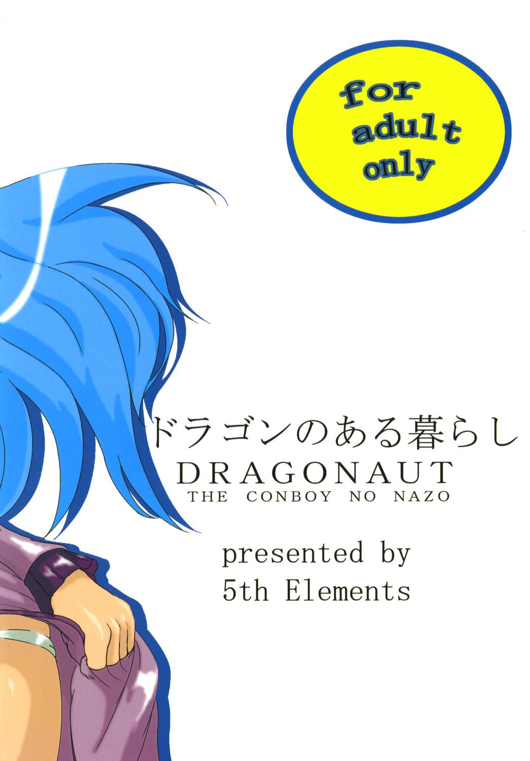 Female Doragon no aru kurashi - Dragonaut Free Amature - Page 22